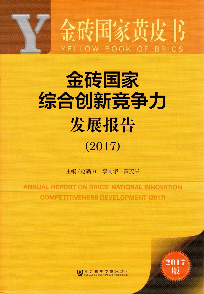 插进来成人在线金砖国家综合创新竞争力发展报告（2017）